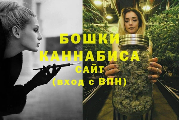 стаф Белокуриха