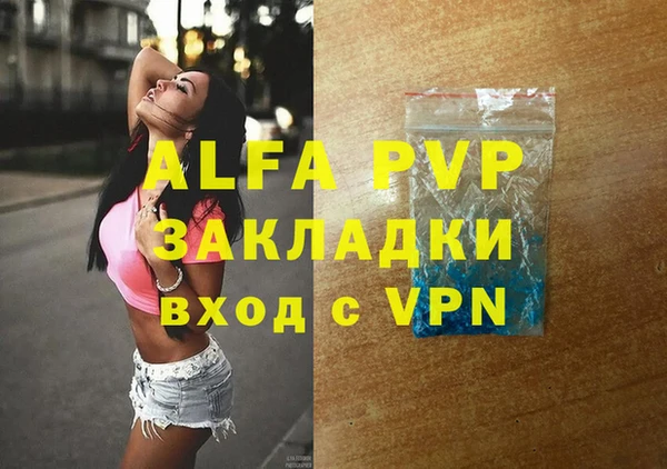 стаф Белокуриха