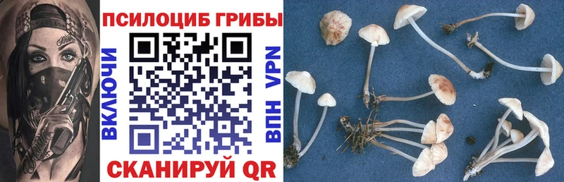 мориарти формула  Бугульма  Галлюциногенные грибы GOLDEN TEACHER 